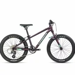 Orbea MX 20 Team